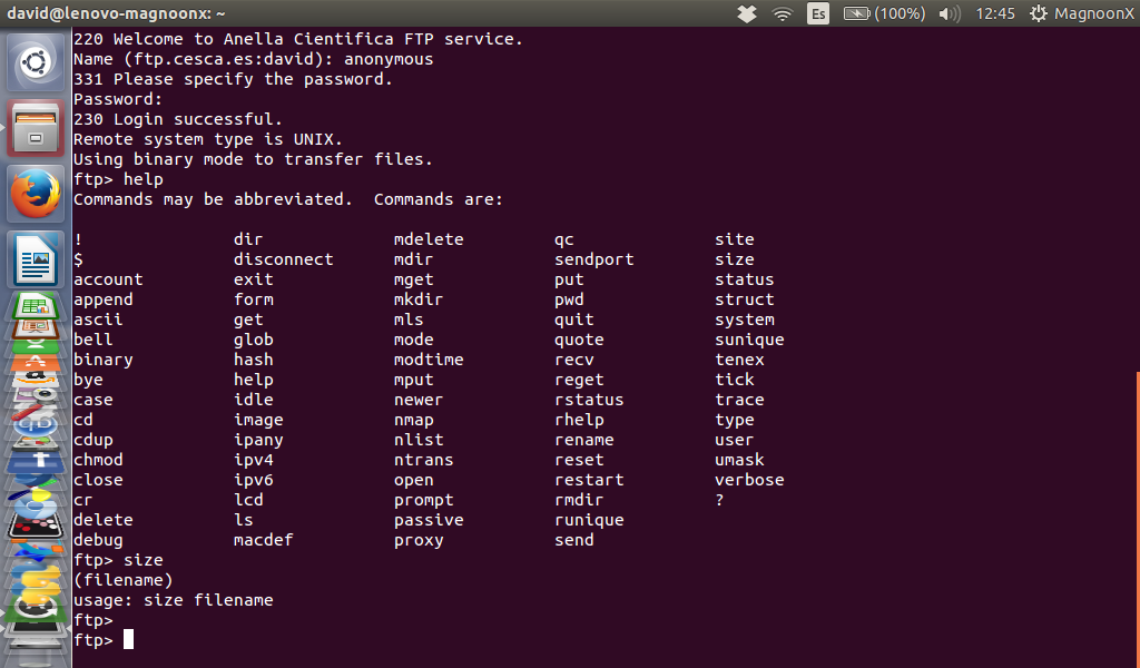 How to use the Linux FTP command