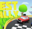 Best rally for PC
