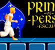 Prince of Persia: Escape for PC