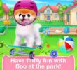 Boo: The cutest dog for PC