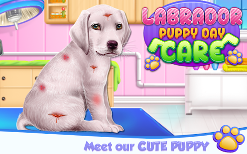 Labrador Puppy Day Care